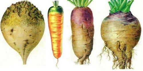 Быстро и просто: 5 способов избавиться от газов в кишечнике дома 04