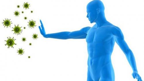 Как влияет иммунитет на заразность заболевания. «Иммунитет пациента с ВИЧ похож на иммунитет пожилого человека»