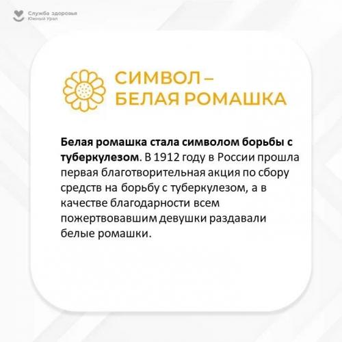 Как защитить себя от заразных заболеваний. Как уберечь себя от инфекций?