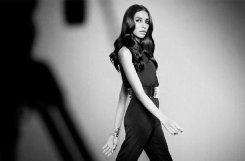 Мишель Лу Лань: Биография легендарной актрисы 07