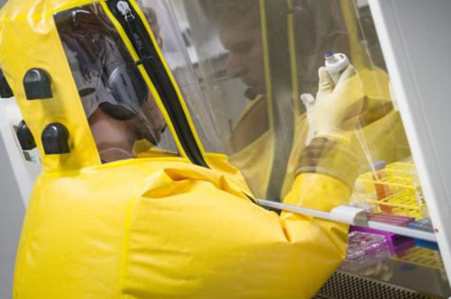 Новая мутация коронавируса: что это значит для России 03