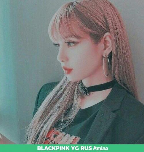 Лисица обыкновенная и интересные факты о ней. Происхождение вида и описание 09