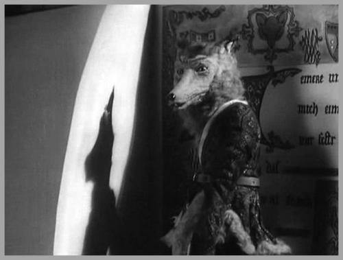 50 фактов о лисах. 10 интересных фактов о лисах.