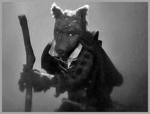 50 фактов о лисах. 10 интересных фактов о лисах.