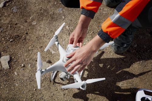 Леса мира: крупнейшие запасы древесины в разных странах 01