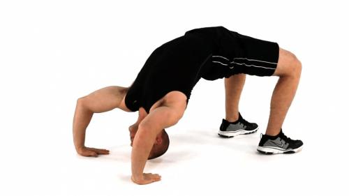 Стоя на коленках. 10 Минут в День для Сильного и Гибкого Тела: Простые Упражнения для Дома