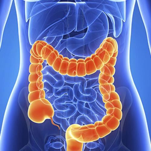 Разгадайте тайну: почему попа пятая точка 11