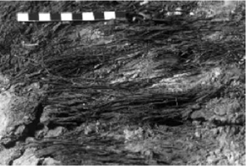 Как древние люди строили дома. Кроманьонцы