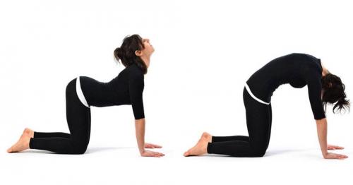 Стоя на коленках. 10 Минут в День для Сильного и Гибкого Тела: Простые Упражнения для Дома