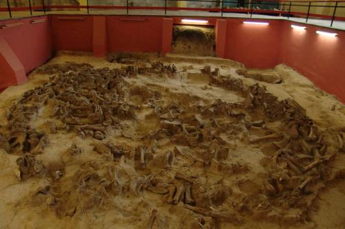 Как древние люди строили дома. Кроманьонцы