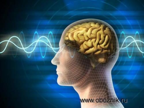 Какие теории заговора используют Окно Овертона. «Окно овертона»: теория заговора в действии