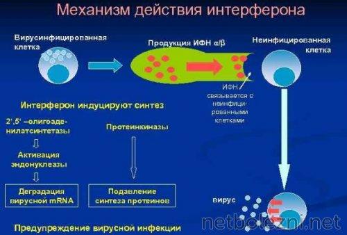 Открытие века: врач нашел эффективное лекарство от коронавируса 04