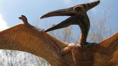 Жили ли динозавры в одно время с людьми. Люди во времена динозавров: жили в одно время?