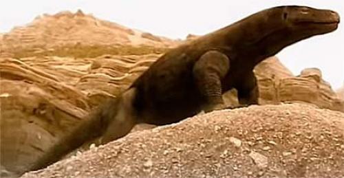 Жили ли динозавры в одно время с людьми. Люди во времена динозавров: жили в одно время?