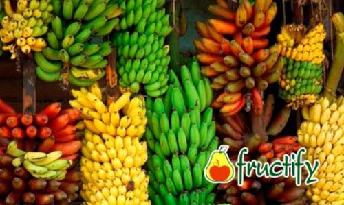 Банан это фрукт? Почему бананы – это ягоды?