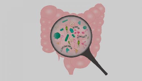 Причины вздутия живота у взрослых. Вздутие живота 01