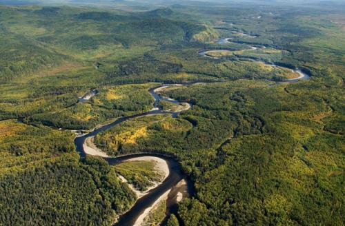Самый большой лес в мире.  Национальный парк Кинубалу 08