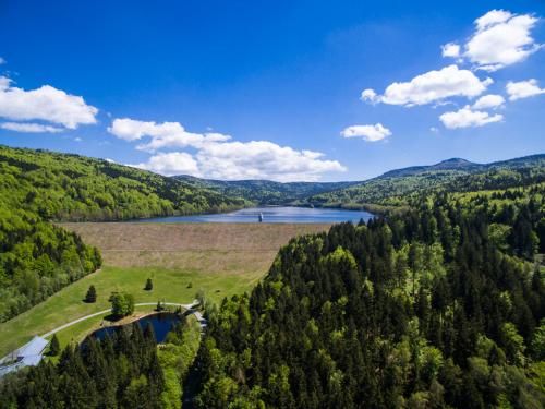 Самый большой лес в европе. Природное достояние Германии: национальный парк «Баварский лес»