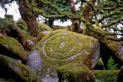 Лес из Властелина колец. Мистический лес из Властелина колец существует. Раньше он был запретным