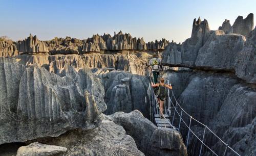 7 уникальных лесов со всего мира. 10 самых необычных лесов мира