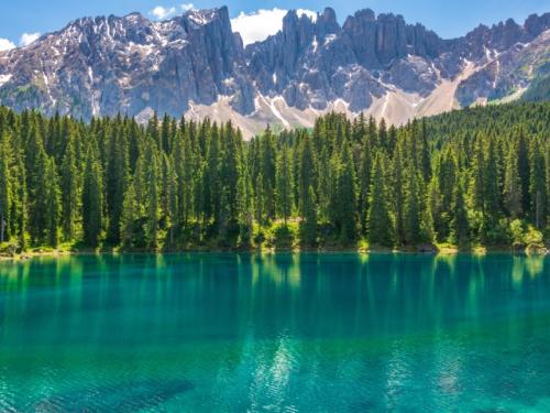 7 уникальных лесов со всего мира. 10 самых необычных лесов мира