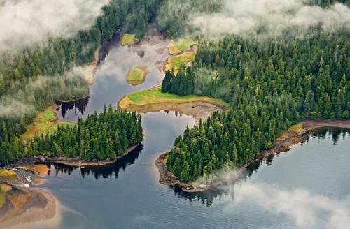 10 самых крупных лесов в мире. Великие леса 05