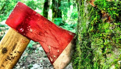 Вырубка лесов в мире статистика. Статистика по вырубке лесов в мире и в России