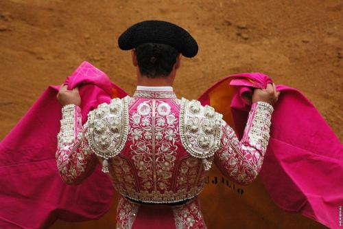 Будет ли запрещена коррида. В Аликанте арена боя быков носит название Plaza de toros de Alicante 09