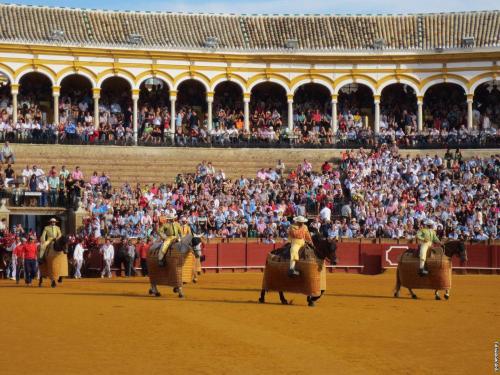 Будет ли запрещена коррида. В Аликанте арена боя быков носит название Plaza de toros de Alicante 13