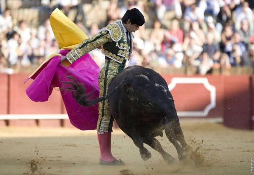 Будет ли запрещена коррида. В Аликанте арена боя быков носит название Plaza de toros de Alicante 16