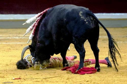 Будет ли запрещена коррида. В Аликанте арена боя быков носит название Plaza de toros de Alicante 04