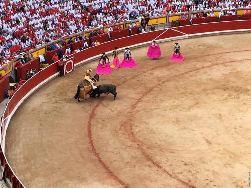 Будет ли запрещена коррида. В Аликанте арена боя быков носит название Plaza de toros de Alicante 11