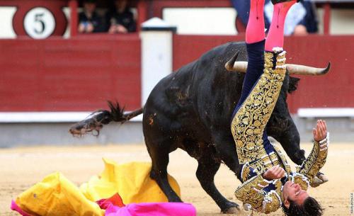 Будет ли запрещена коррида. В Аликанте арена боя быков носит название Plaza de toros de Alicante 08
