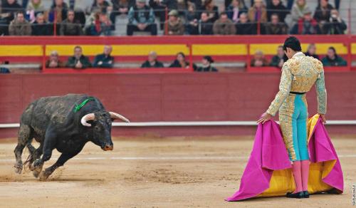 Будет ли запрещена коррида. В Аликанте арена боя быков носит название Plaza de toros de Alicante 12