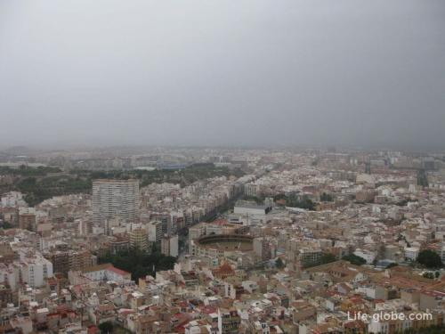 Будет ли запрещена коррида. В Аликанте арена боя быков носит название Plaza de toros de Alicante
