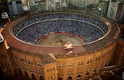 Будет ли запрещена коррида. В Аликанте арена боя быков носит название Plaza de toros de Alicante 10