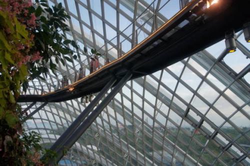 Топ-10 самых красивых лесов на земле. Десять самых красивых лесов мира по версии немецкого издания GEO 16