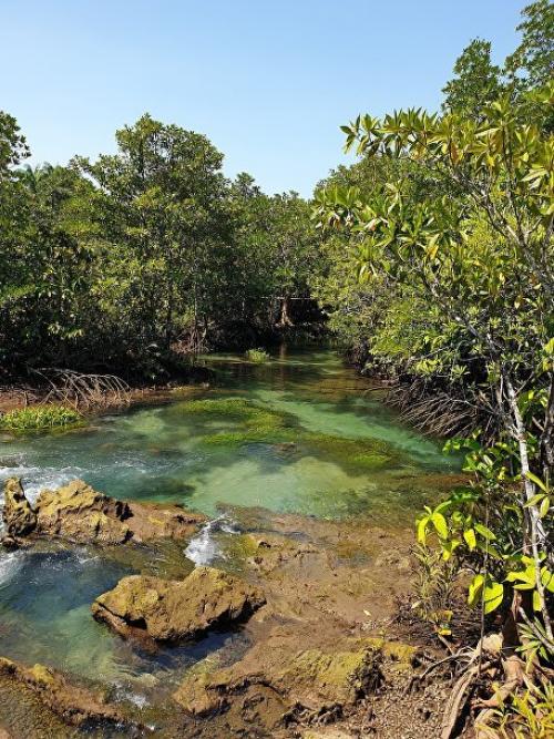 Топ-10 самых красивых лесов на земле. Десять самых красивых лесов мира по версии немецкого издания GEO