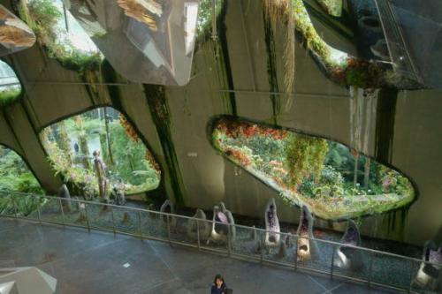 Топ-10 самых красивых лесов на земле. Десять самых красивых лесов мира по версии немецкого издания GEO 17