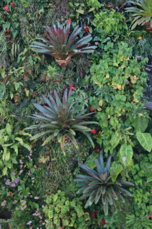 Топ-10 самых красивых лесов на земле. Десять самых красивых лесов мира по версии немецкого издания GEO 19