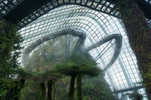 Топ-10 самых красивых лесов на земле. Десять самых красивых лесов мира по версии немецкого издания GEO 15