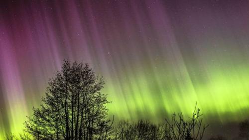 Белое северное сияние. Классификация