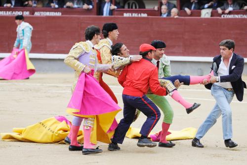 Коррида когда запретили. Коррида запрещена: как в Испании впервые за 35 лет прекратили бой быков