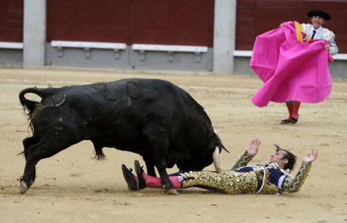 Коррида когда запретили. Коррида запрещена: как в Испании впервые за 35 лет прекратили бой быков