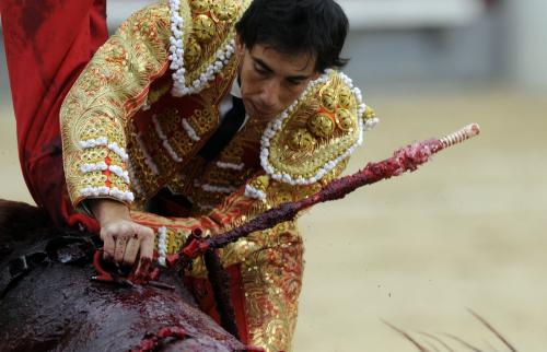 Коррида когда запретили. Коррида запрещена: как в Испании впервые за 35 лет прекратили бой быков