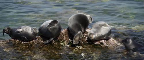 Сообщение об одном из географических объектов. Сообщение о 2 3 географических объектах разных стран окружающий мир 4 класс