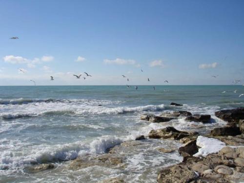 Наивысшая точка европы. Анатомия Эльбруса 09