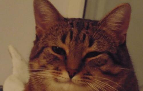 Полезные гаджеты алиэкспресс. Лучшие гаджеты с АлиЭкспресс, которые сделают вашу жизнь проще