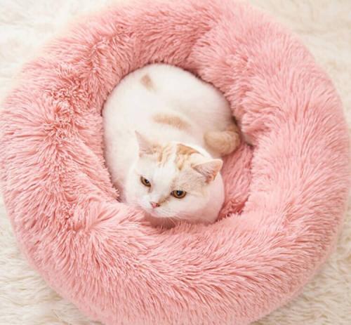 10 крутых гаджетов с AliExpress. 10 лучших товаров с AliExpress, которые я купил в 2022 году