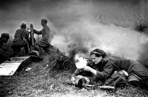 Интересные данные и факты о бананах. Выращивание бананов 01